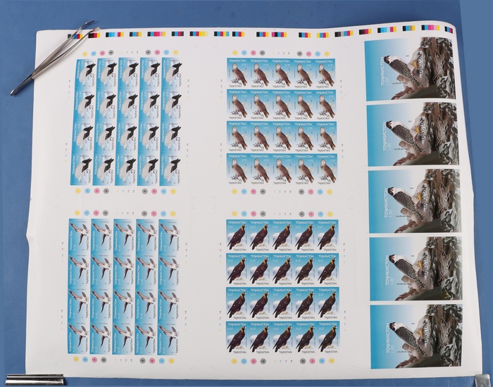 Lot 7210