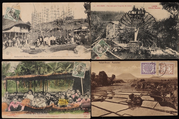 Lot 816