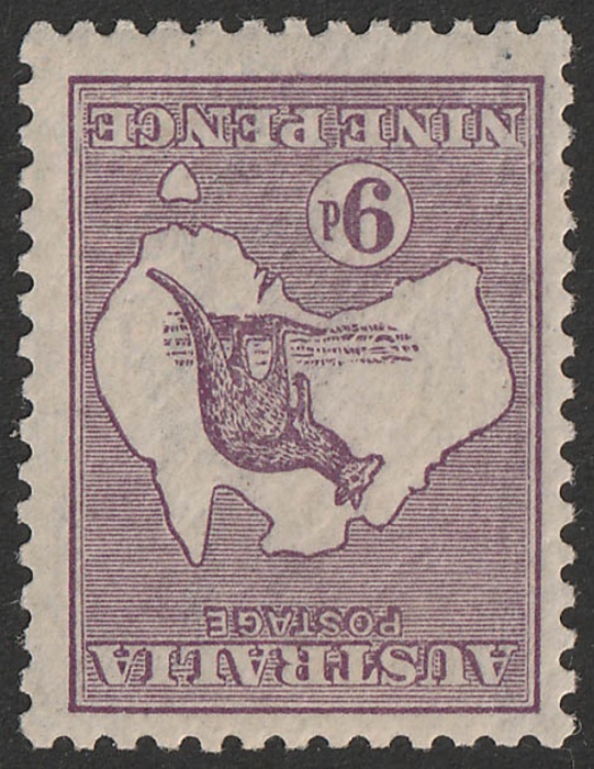 Lot 894