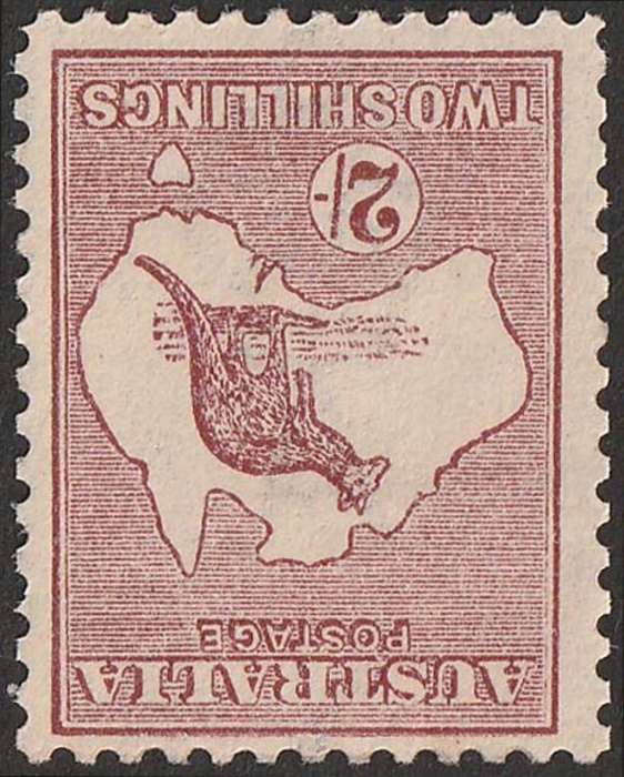Lot 905