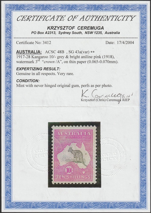 Lot 911