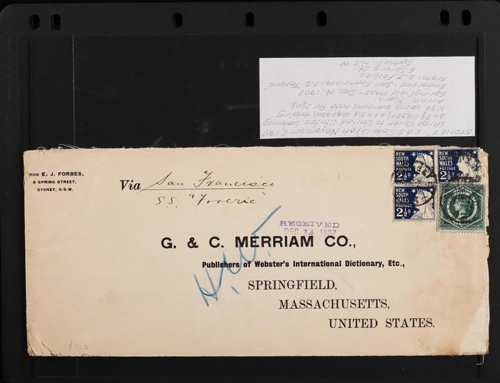Lot 1429