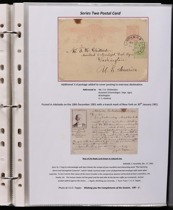 Lot 1509