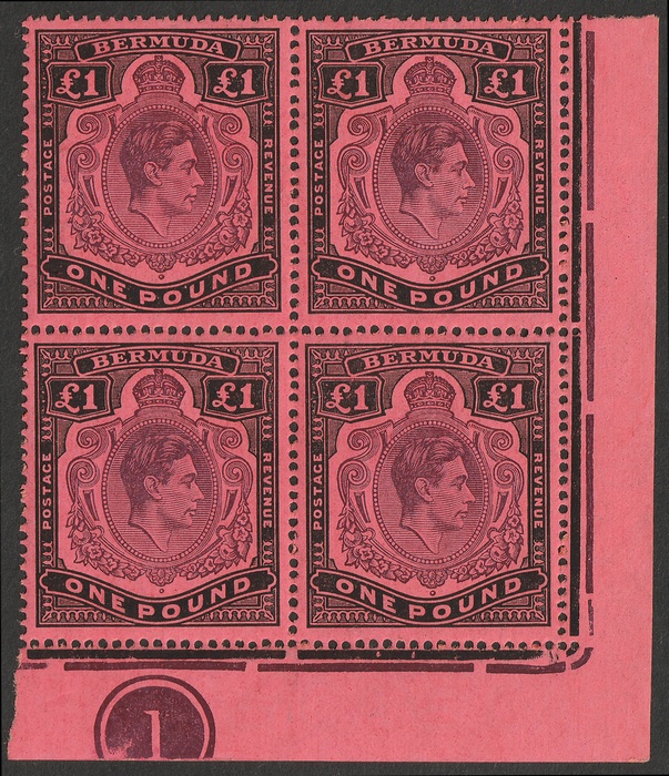 Lot 1649