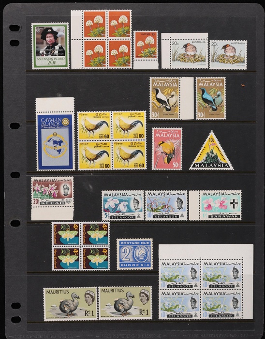 Lot 1665