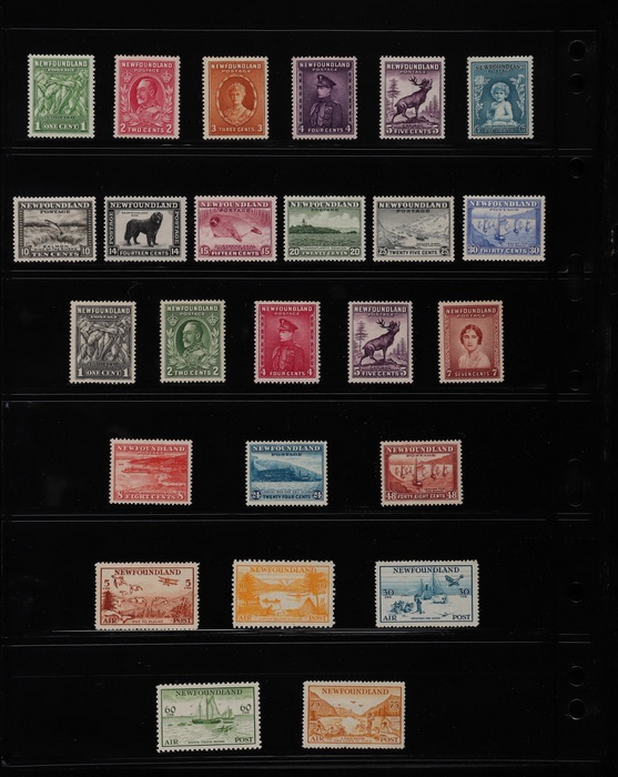 Lot 1811