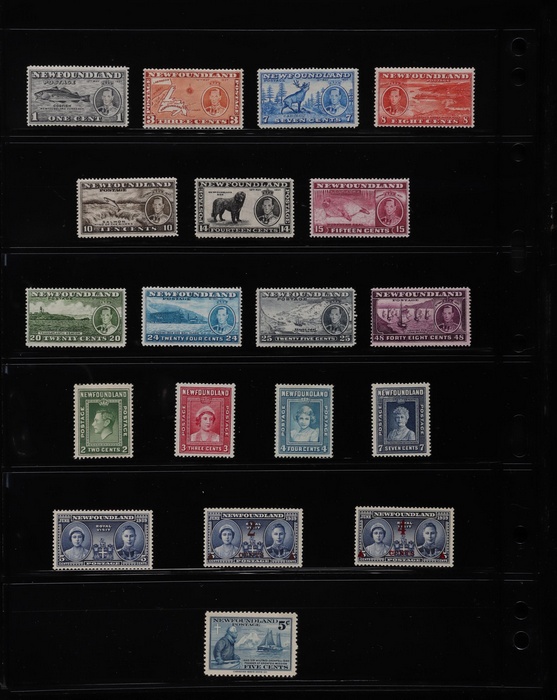 Lot 1811