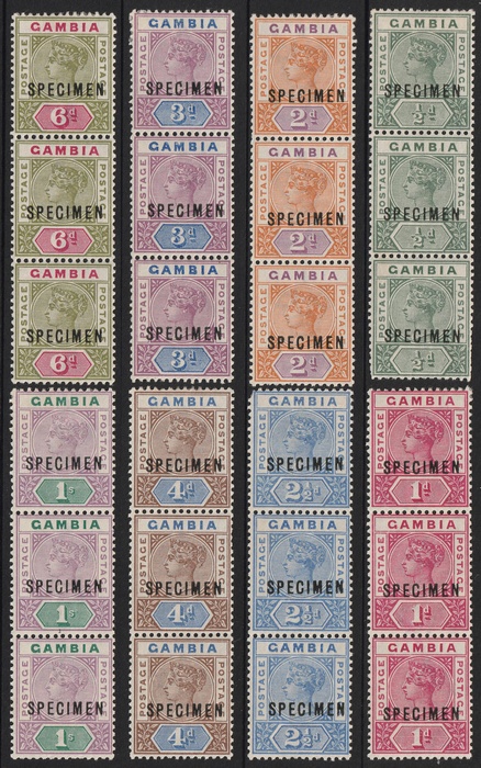 Lot 2004