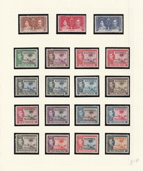 Lot 2019