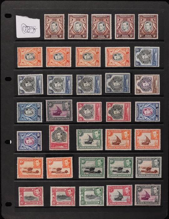 Lot 2560