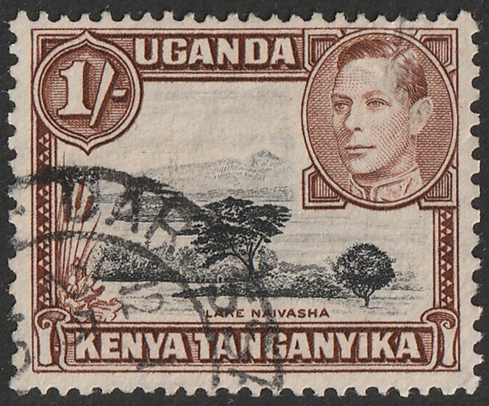 Lot 2563