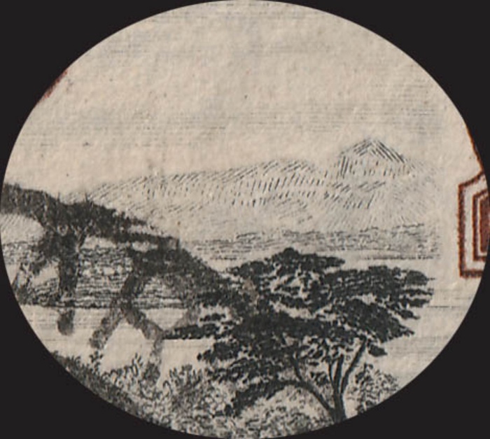 Lot 2563