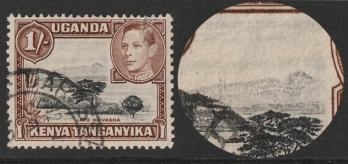 Lot 2563