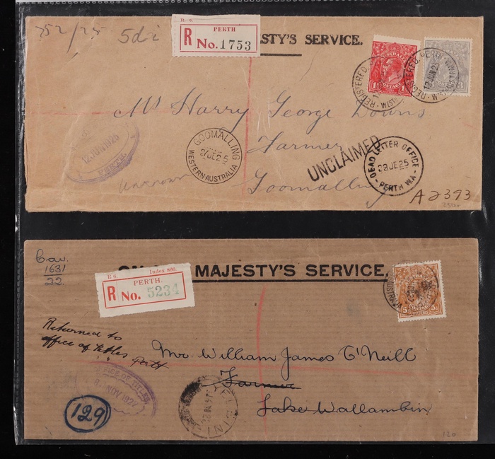 Lot 309
