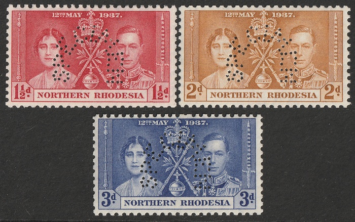 Lot 3100
