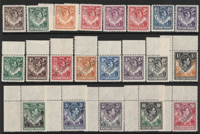 Lot 3101