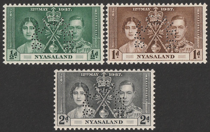 Lot 3129