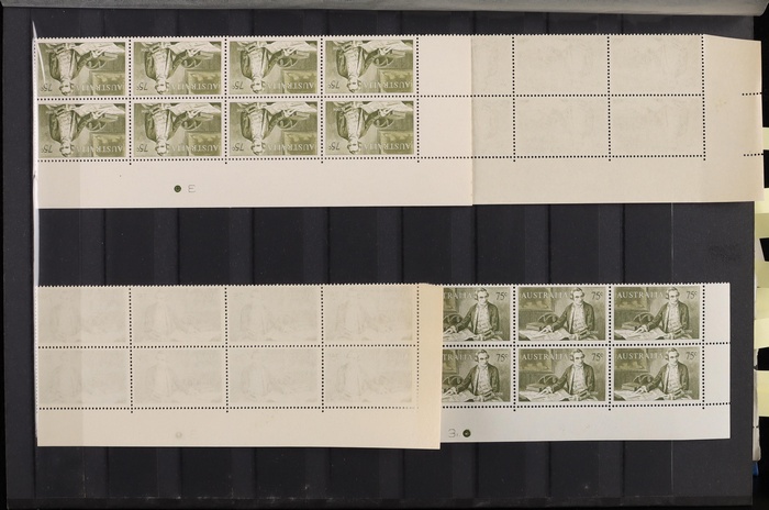Lot 313