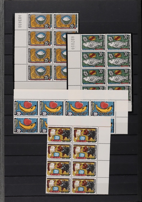 Lot 313
