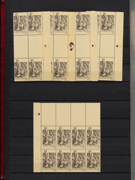 Lot 313