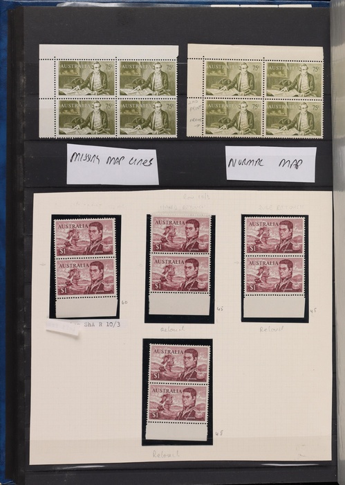 Lot 313