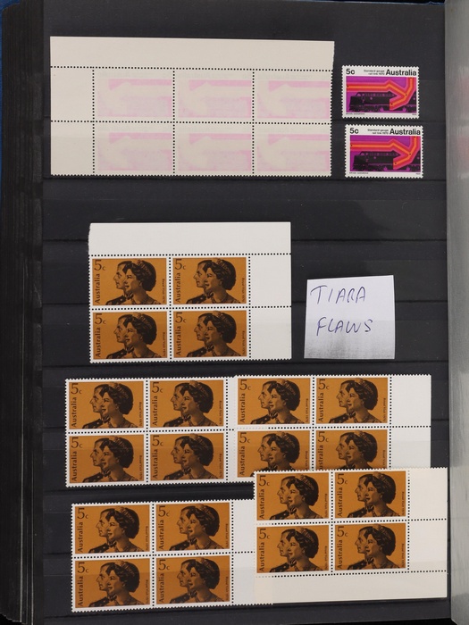 Lot 313