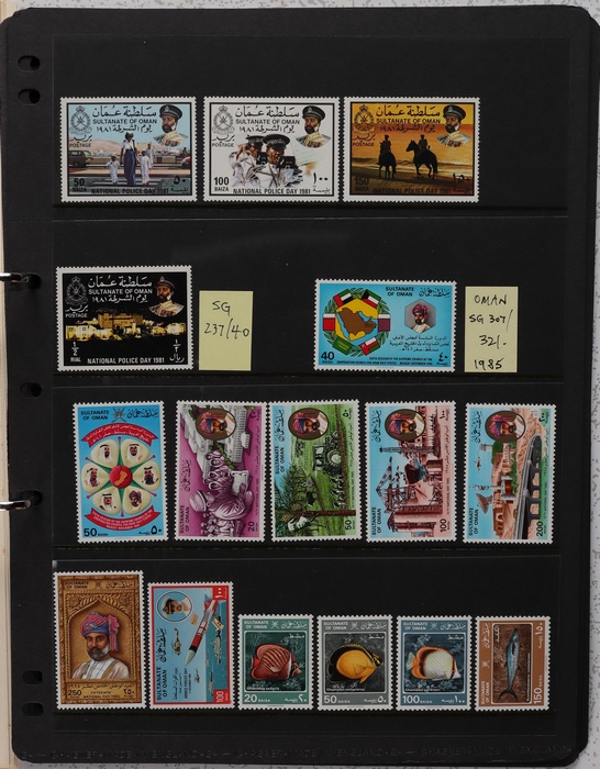Lot 3134