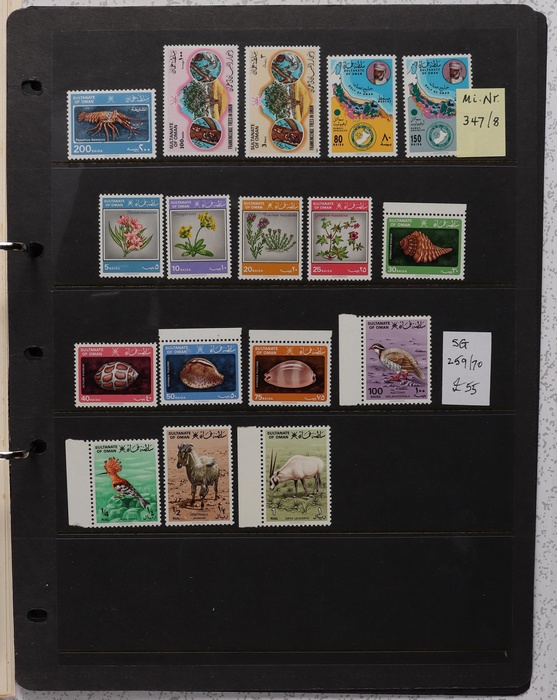 Lot 3134