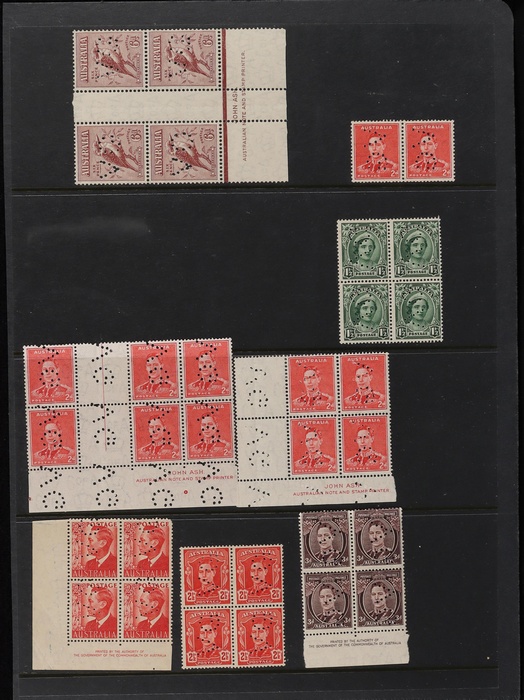 Lot 314
