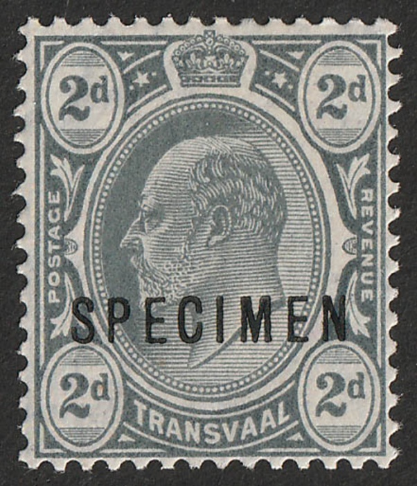 Lot 3411