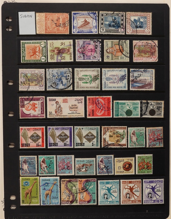 Lot 3505