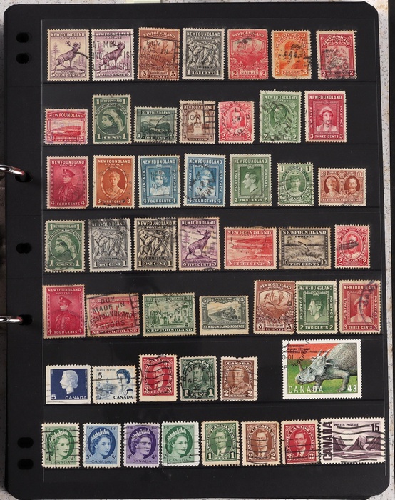 Lot 351