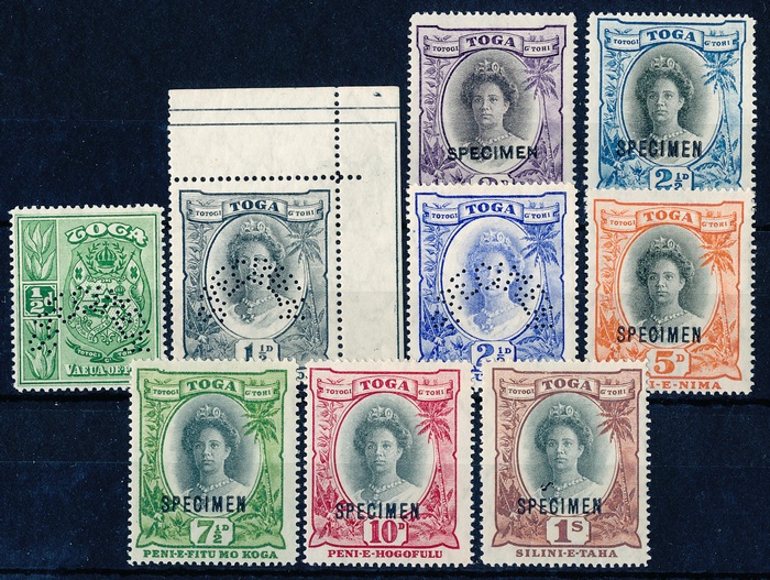 Lot 3555