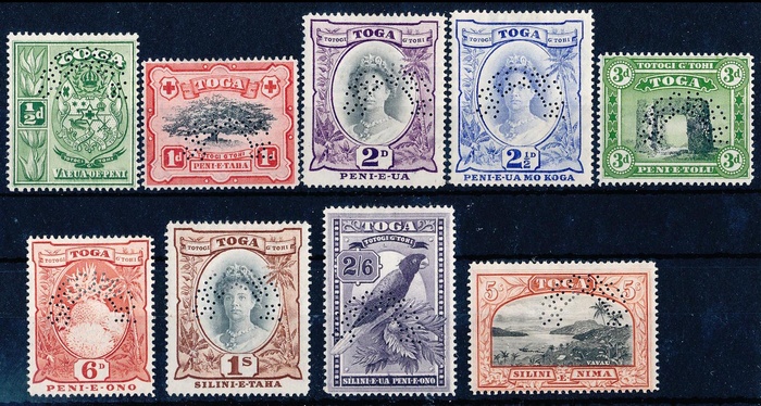 Lot 3557