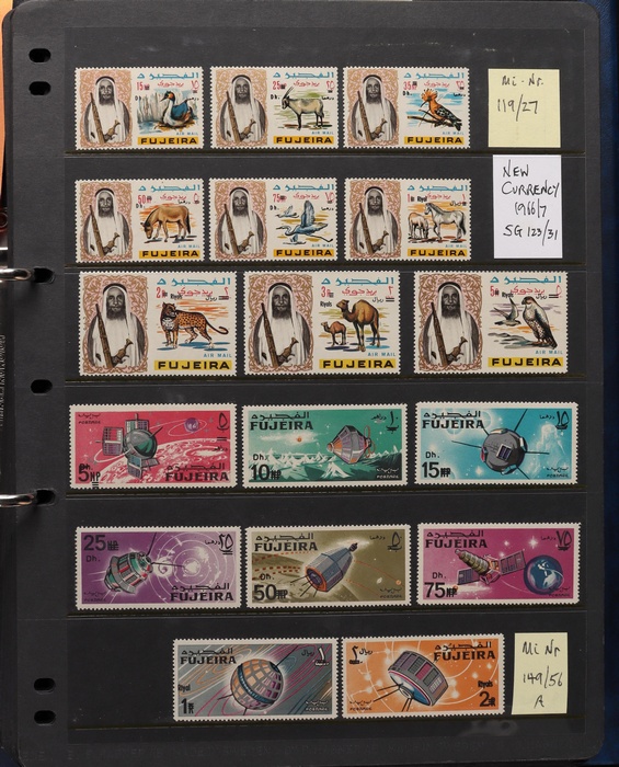 Lot 3582