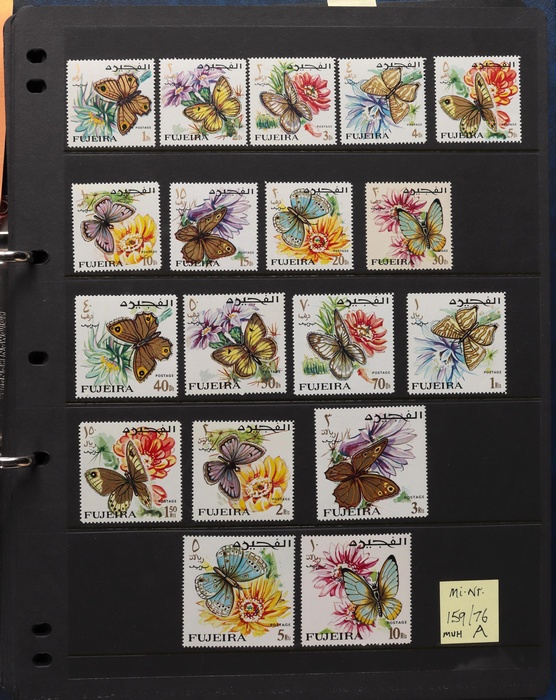 Lot 3582