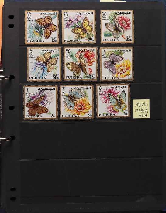 Lot 3582