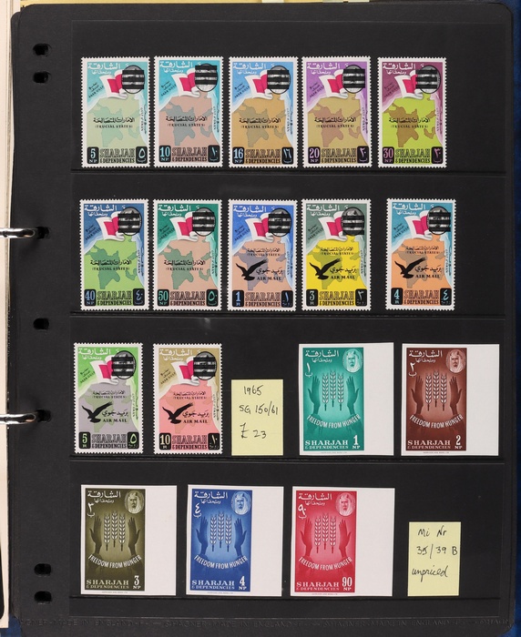 Lot 3584