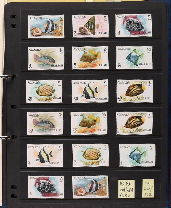 Lot 3584
