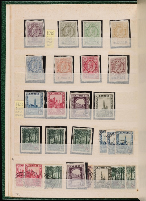 Lot 384