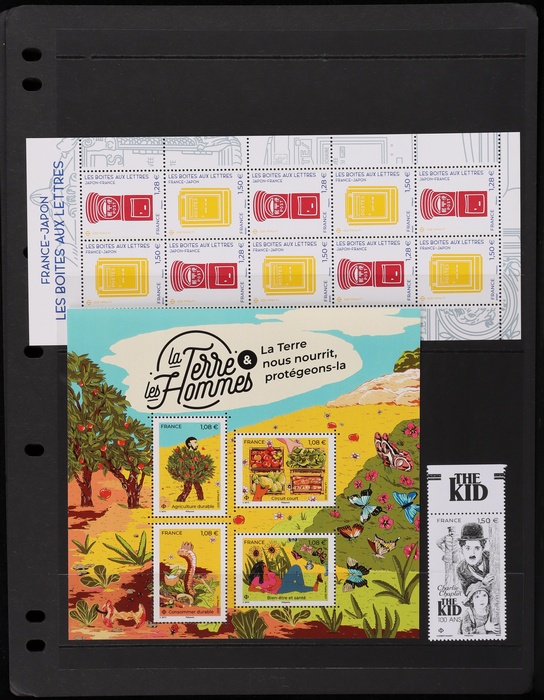 Lot 486
