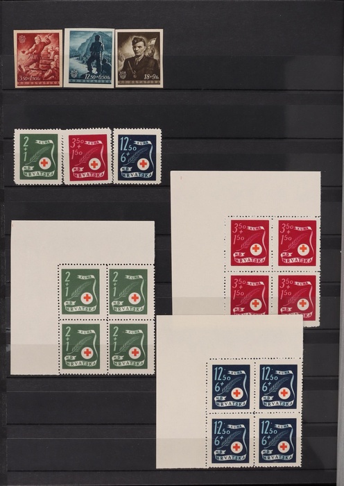 Lot 500