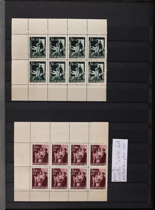 Lot 500