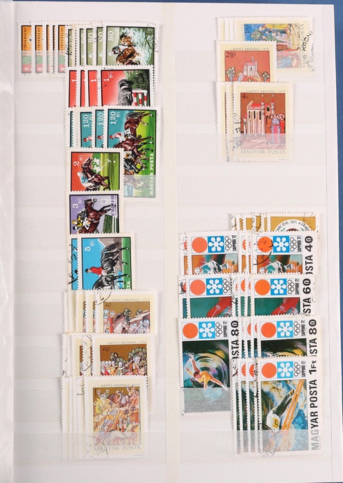 Lot 555