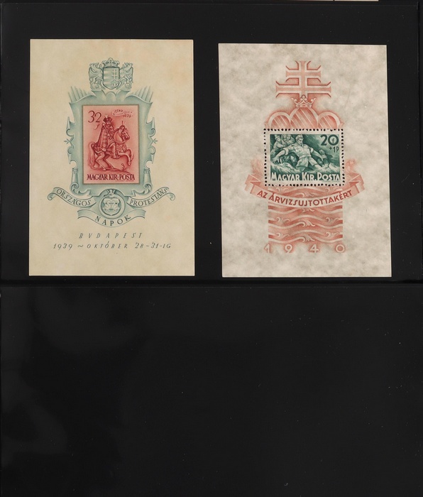 Lot 555