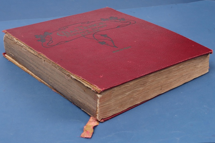 Lot 558