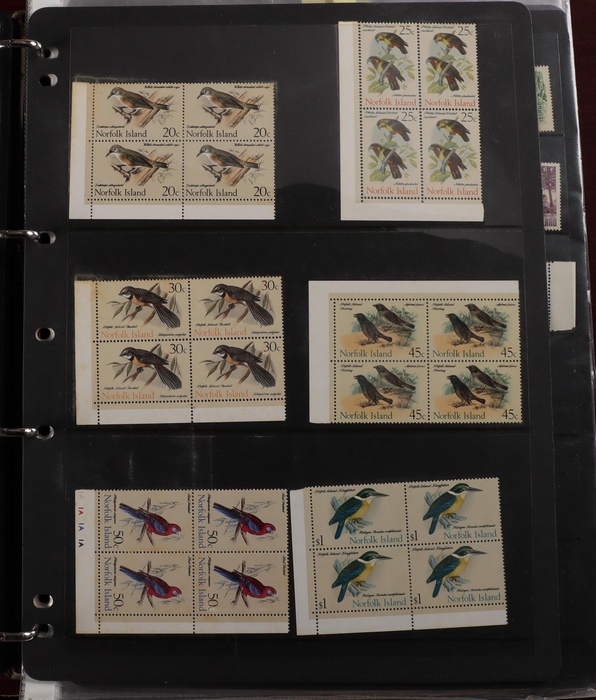 Lot 570