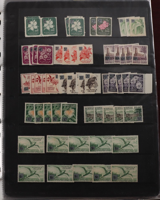 Lot 570