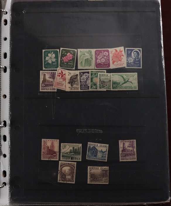 Lot 570
