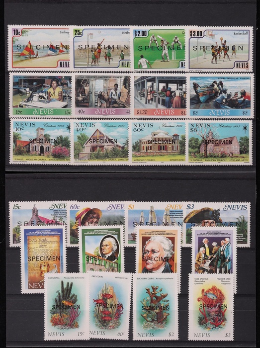 Lot 619